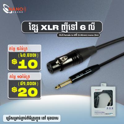 ខ្សែ XLR ញី ទៅ​ 6លី 5m | Cable XLR Female to 6.35mm Mono 5m